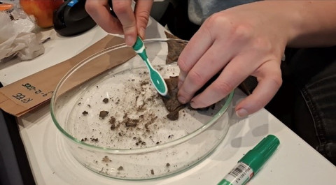 Rosan borstelt theezakjes schoon