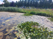 Waterkwaliteit in Nederland