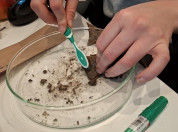 Rosan borstelt theezakjes schoon